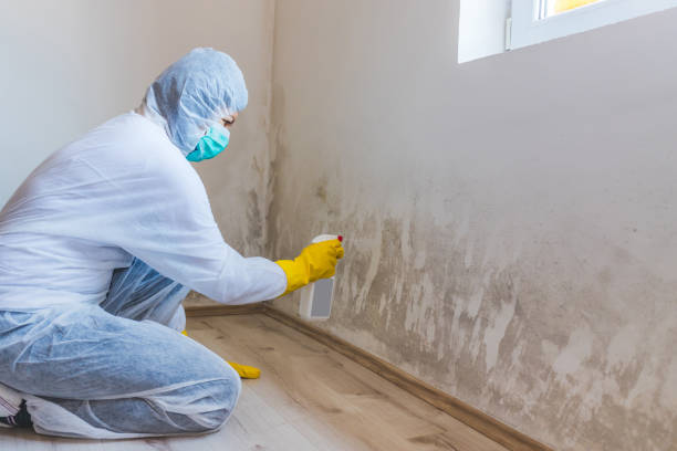 Licensed Bathroom Mold Removal service in Lebanon, VA - Car Mold Remediation